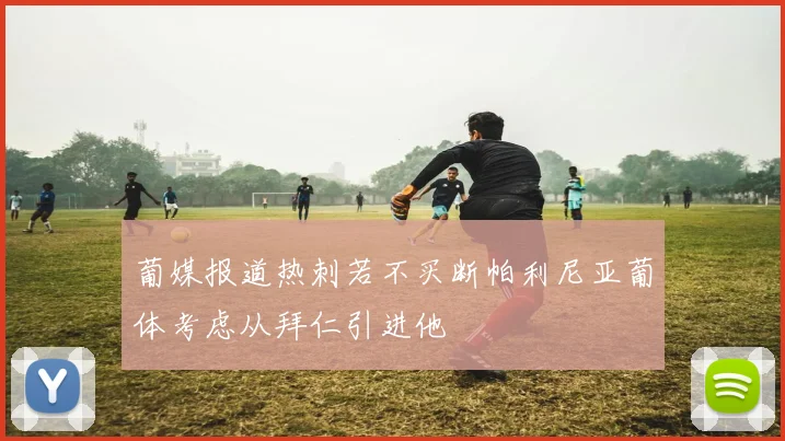 葡媒报道热刺若不买断帕利尼亚葡体考虑从拜仁引进他