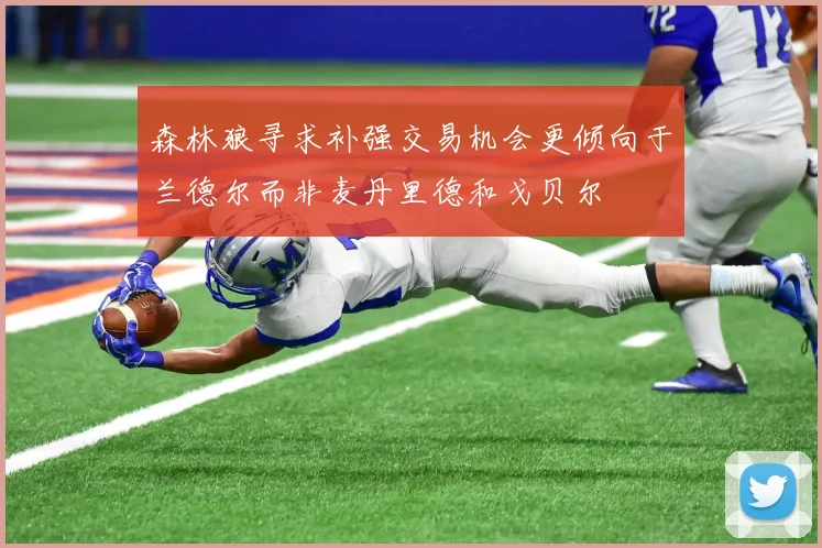 森林狼寻求补强交易机会更倾向于兰德尔而非麦丹里德和戈贝尔